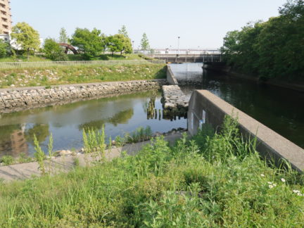 生田川河口